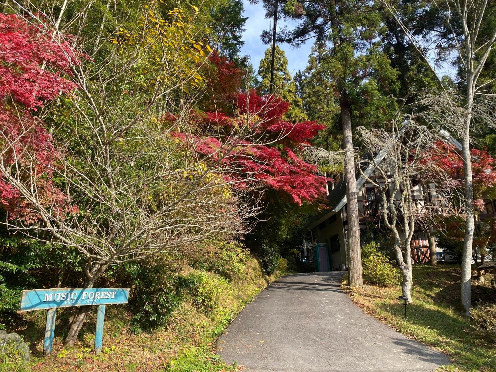Music Forest Villa&Camp Tamba-Sasayama Extérieur photo
